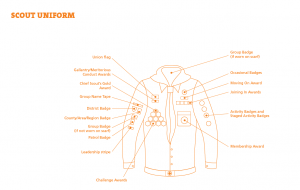 scout-badge-positions